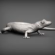 Day-Gecko4.jpg Day Gecko 3D print model