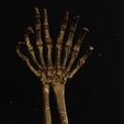 DHands4.jpg STL-Datei The Double Hand・Modell zum Herunterladen und 3D-Drucken