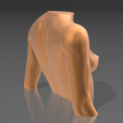 10.png STL file Bust 01・3D printer model to download