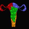 Female-Reproductive-System-1.jpg Female Reproductive System