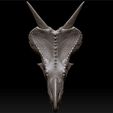 QQ截图20210315233526.jpg Einiosaurus  head