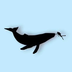 WhatsApp-Image-2023-11-10-at-3.47.07-PM.jpeg buzo_Ballena_Decoracion_Pared_Whale_Wall_Decoration.