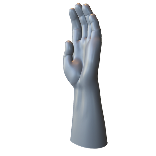 Open Palm Hand Gesture