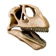 04.jpg Mamenchisaurus 3D skull