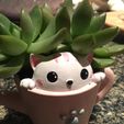 71NvAZDxXTL.jpg Mini Kitty Planter - STL for 3D printing, Vase Flower Pots Personalized Office House Balcony Landscape Creative Decorative Flower Pots (Cat)