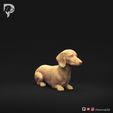 Dachshund-Miniature-Smooth-Haired-Pose-07-Dog-3D-Print-1s.jpeg Dachshund Miniature Smooth Haired Pose 07