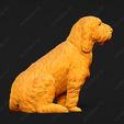 1054-Basset_Griffon_Vendeen_Petit_Pose_06.jpg Basset Griffon Vendeen Petit Dog 3D Print Model Pose 06