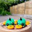 20230517_142222.jpg Puddles the Platypus