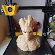 Groot Buste Groot Sculpture
