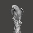 papug.jpg Parrot on tree 3D scan
