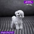 8.jpg Toy Poodle - Bichon Frise the articulated realistic dog toy