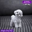8.jpg Caniche Toy - Bichon Frise el juguete articulado realista para perro (#38)