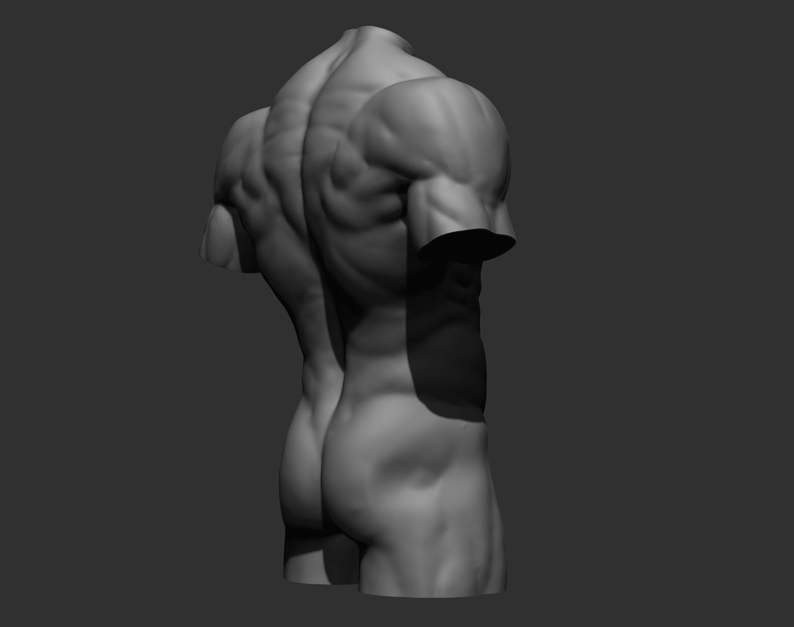 17.jpg Archivo 3D 4 Torsos masculinos・Modelo para descargar e imprimir en 3D, Daniartist