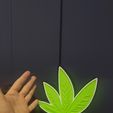 1664136780246.jpg Cannabis Leaf Lamp