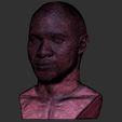 28.jpg Usher bust for 3D printing
