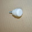 WithCapInstalled.jpg Knob Shells or Thumb Screw with Cap