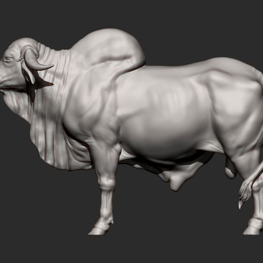 Gyr-Bull7.jpg Gyr Bull 3D print model