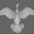 Screenshot-2024-01-04-111331.png cormorant bird
