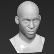 13.jpg Reggie Miller bust 3D printing ready stl obj formats