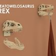 TeaTowelosaurusRex-Render-text2_display_large.jpg TeaTowelosaurus Rex