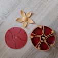 1000025460.jpg Mechanical Flower Box