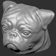 19.jpg Pug head for 3D printing