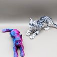 337096196_652493673267587_175784501270533026_n.jpg Flexi Cat, Print-in-Place, Articulated Kitty