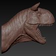 09.jpg Carnotaurus  Head