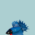 EEDDA383-7C9C-497B-A648-01A4160D3D0C.png Betta fish