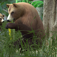 0_00000.png Bear DOWNLOAD Bear 3d model - animated for blender-fbx-unity-maya-unreal-c4d-3ds max - 3D printing Bear Bear