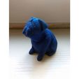 bab4dc3d91e634a0eb0d6e8e0776292b_preview_featured.jpg Josef Prusa's pug Buddy