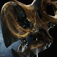 lokiceratops-3dprint.jpg Lokiceratops rangiformis skull