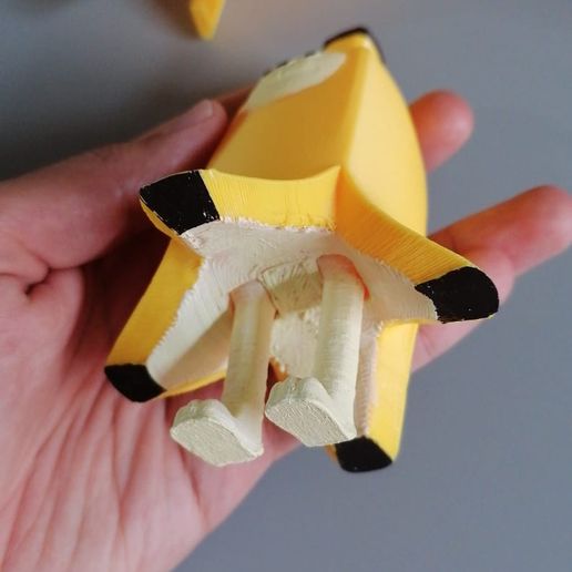 WhatsApp-Image-2023-10-09-at-17.16.53.jpeg Gato banana print in place