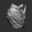03.jpg Rhino