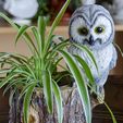 Owl-1.jpg Owl themed planter/desk organizer/item holder