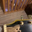 IMG_6830.jpg truss rod cover