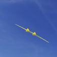 6b-Image-9-28-23-at-6.13-PM.jpg VALKYRIE - A TPU FLYING WING (Manual and Test File)