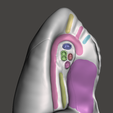 lung-7.png High resolution 3D lungs model with detailed anatomical impression