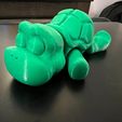 tortue flexible