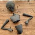 ImportedPhoto.761818970.908456.jpeg Grey Alien Wall Bust