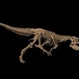 untitled.71.jpg Tyrannosaurus T-rex skeleton