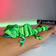 Articulated Chameleon