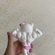 IMG_6463.jpg Muscle Hello Kitty