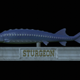 Sturgeon-statue-17.png fish beluga / sturgeon / huso huso / vyza velká statue detailed texture for 3d printing