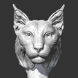 01.png Lynx head AM18 3D print model