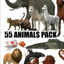 coverforanimals.jpg 55 Animal Pack