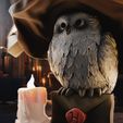 Hedwig-5.jpg Hedwig STL for 3D Print - Harry Potter - Sorting Hat