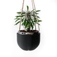 misprint-1988.jpg The Jani Hanging Planter Pot | Modern and Unique Home Decor for Plants and Succulents  | STL File