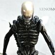 124582313_1312013605817475_908590302532950904_o.jpg xenomorph