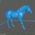screenShot_CABALLO.png MODEL HORSE